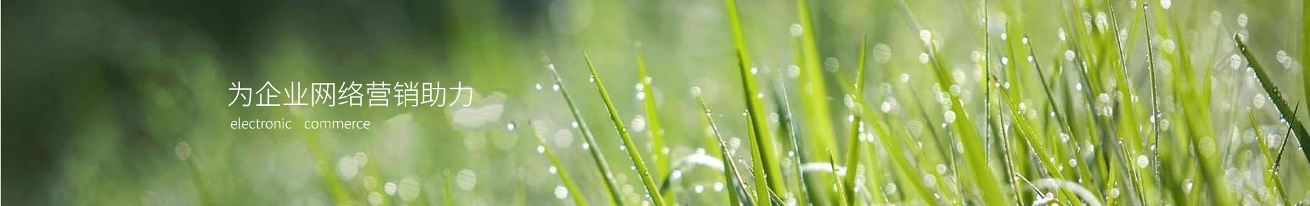 ݸл豸Ƽ޹˾